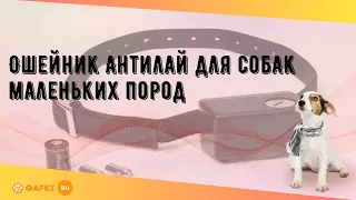 Ошейник Антилай для собак маленьких пород