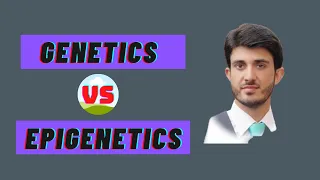 The difference between genetics and epigenetics?/GeneticsvsEpigenetics