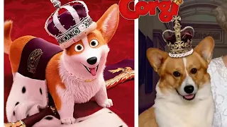 The queens corgi cartoon all characters in real life