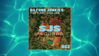 DA FUNK JUNKIES - THAT FUNKY SOUL VIBE (ORIGINAL MIX)