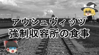 ［ゆっくり解説］アウシュヴィッツの飢餓食