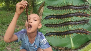 The jungle catches and cooks delicious grilled centipedes, Cooking centipedes