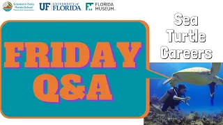 Friday Q & A: Sea Turtle Careers