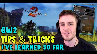 Guild Wars 2 - Settings TIPS AND TRICKS 2023