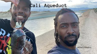 Catching Catfish in the California Aqueduct | Hesperia Aqueduct Catfish Bite | Best Rig for Catfish