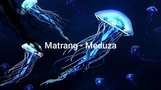 Matrang - Meduza (Méduse) (paroles françaises)