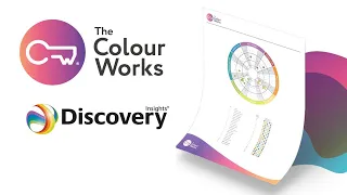 Understanding your Insights Profile - A Guide to Insights Discovery - The Colour Works