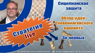 Сицилианская защита. Обзор идей Схевенингенского варианта. За чёрных. Игорь Немцев Обучение шахматам