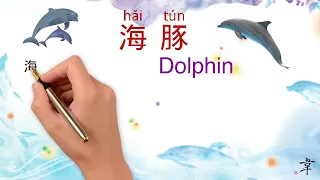 中文海洋动物 | 汉语海洋动物#3 海豚 | Sea Animals in Mandarin Chinese#3 Dolphin