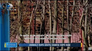 Asta-i Romania - Animale dupa gratii, oamenii dupa bani! Povestea aradeanului care creste ursi!