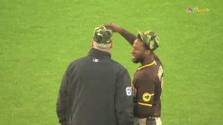 MLB Fans Throwing Objects on the Field - Part 3