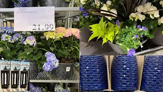 COSTCO New Arrivals for your Garden and Planters