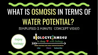 What is Osmosis in terms of Water Potential?