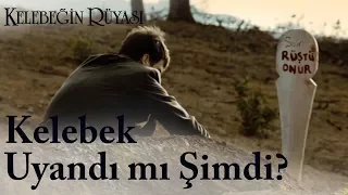 Kelebeğin Rüyası | Kelebek Uyandı mı Şimdi?