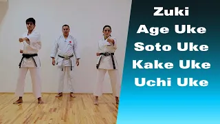 Repaso en 4 minutos Zuki, Age Uke, Ren Zuki, Uchi Uke, Keri. Shotokan