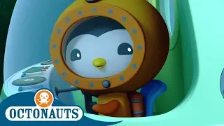 Octonauts - Saving Sea Pigs! | Cartoons for Kids | Underwater Sea Education