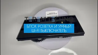 Розетка и умный WiFi выключатель Terem Techno одиночный с Алисой стеклянный черный VK-1-ROZ-чер