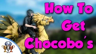 Final Fantasy XV - How to Get and Ride Chocobo's - Races and Traveling - Chocobo Jockey