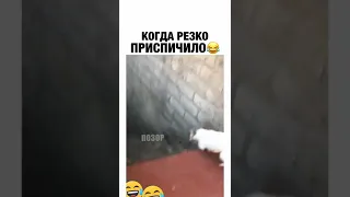 когда резко приспичило😂😂😂 #приколы #shorts