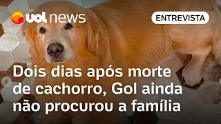 Gol não procurou nem ofereceu nenhum tipo de auxílio à família após morte de cachorro, diz advogado