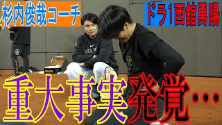 台湾で重大な事実が発覚！？ドラ1西舘、○○が弱すぎる！！