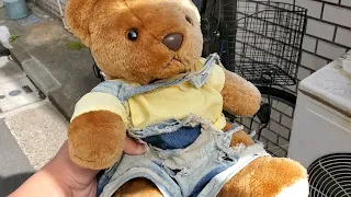 Bear's clothes have been renewed [plush toy]