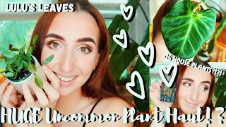 HUGE UNCOMMON PLANT HAUL!? | Hoyas, Philodendron, Orchids & Begonias