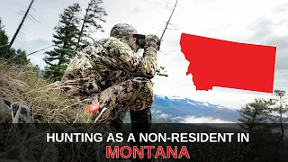 Non-Resident Hunting Opportunities in Montana | Mastering the Draw