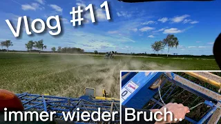 Es wird Zeit für eine neue Maschine!  Weizen Striegeln +Hafer hacken / Vlog  11