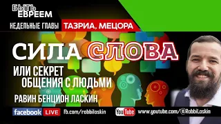 Сила слова или секрет общения с людьми. Раввин Бенцион Ласкин . Недельная глава Тазриа