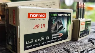 Fastest 22LR I've ever seen... 😳😳😳 | Norma ECO Speed-22