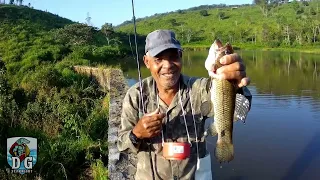 Encontrei o NINHO das traíras no interior de Alagoas, tinha mais peixe que água.