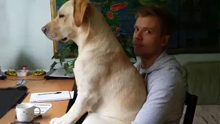 When your dogs acting like your baby😍😂Funny Dog and Human