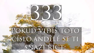 VZKAZ OD ANDĚLŮ  333 andělské číslo👼 ✨🦋| TOTO NEIGNORUJ| #vesmirnevzkazy #afirmace #andělskévzkazy