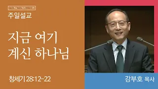 [강부호 목사] 지금 여기 계신 하나님 (창세기 28:12-22)│2023.11.12