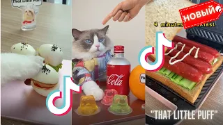 Подборка Tiktok 2022: Веселые коты готовят еду 😺"That Little Puff" #1