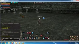 Lineage 2 -Shillien Knight-Tower of Insolence(6th Floor)