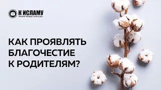 Как проявлять благочестие к родителям? | К Исламу