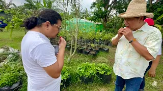 Farm Tour: Harvest sa boong 14 hectares, pinamimigay lang sa mga kaibigan