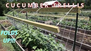 Cucumber Trellis Build w/ Cattle Panels | How-to D.I.Y.