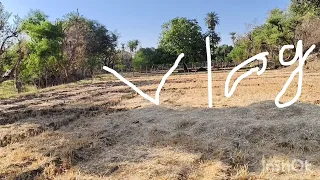 The Best Grass ||😍Build Luxury♥️| Underground House And Circle my village blog#youtube #villagelife