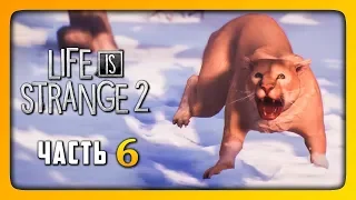 НОВАЯ СЕМЬЯ? ✅ LIFE IS STRANGE 2 (Episode 2) Прохождение #6