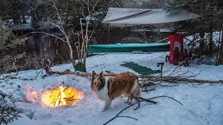 Overnight Wild River Adventure with My Dog