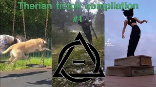 Therian tictok compilation #1 !!!