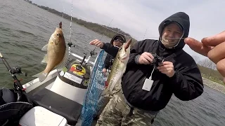 How Many Species Did I Land on the Tennessee River?! Ft. PANFISH & Chatt Cats (Chattanooga, TN)