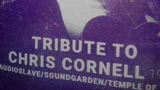 Nepal's Tribute to Chris Cornell | Purple Haze(2018)