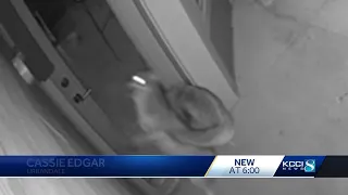Urbandale family shocked by a pack of coyotes that slammed in to their back door