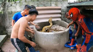 Spider-Man Helping The Villagers | Catch 2 Ferocious Giant Pythons