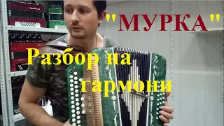 МУРКА на гармони  РАЗБОР