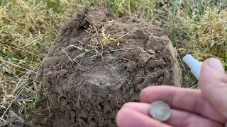 Metal Detecting a capped bust half dime